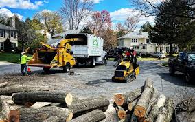 Best Arborist Consultation Services  in Kodi, AK